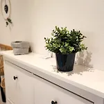 Semesterbostad Homely Velosoph Quartier - Familienfreundliches Mit 3 Schlafzimmern, 300m Zur Ski-piste, E-auto Ladestation *